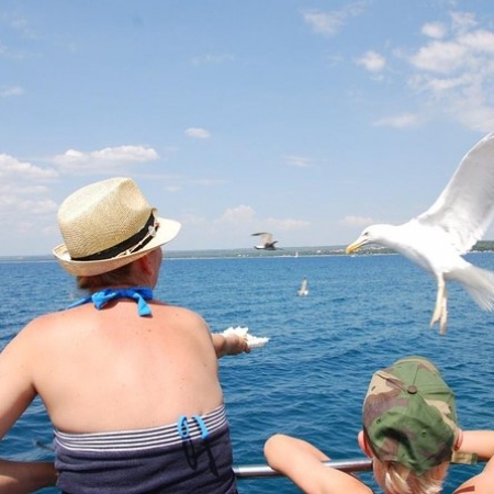 Boat trip from Brijuni National Park from Pula